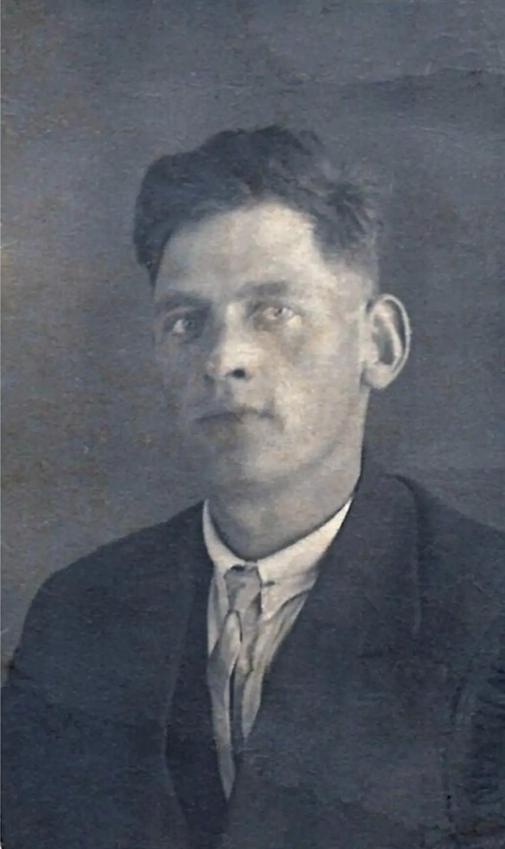 Portret van Petrus Johannes Leonardus van Bemmelen