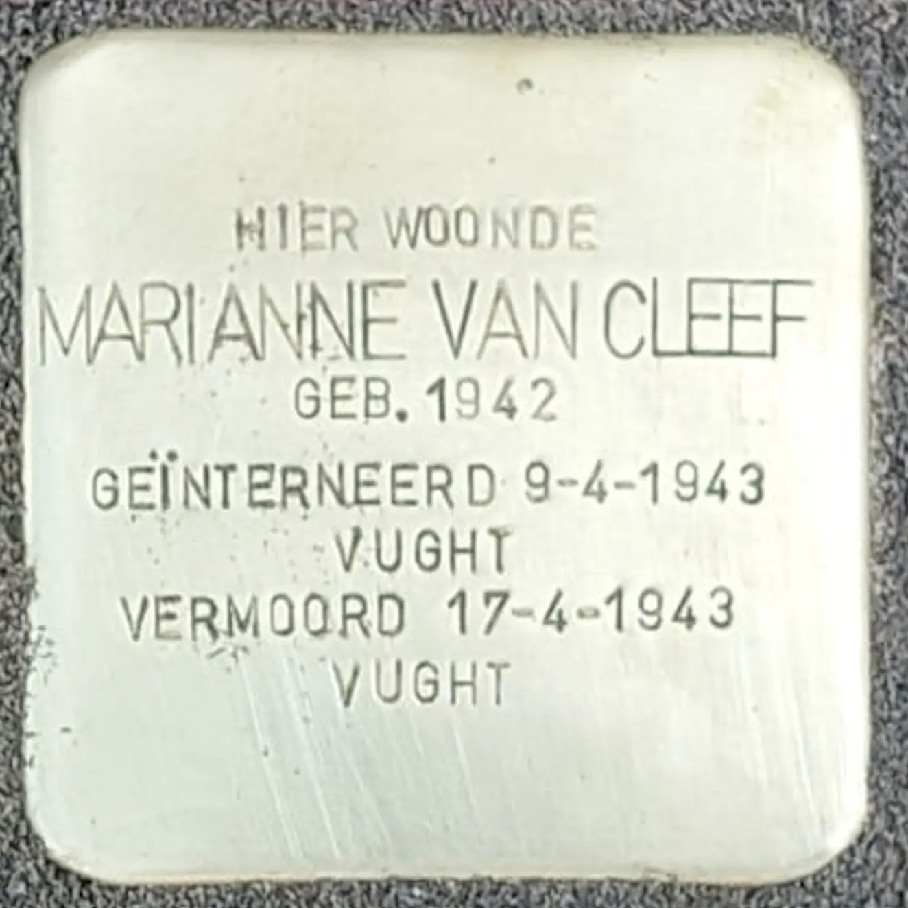 Struikelsteen voor Marianne van Cleef