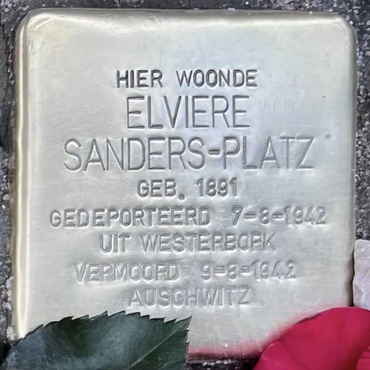 Struikelsteen voor Elviere Sanders-Platz