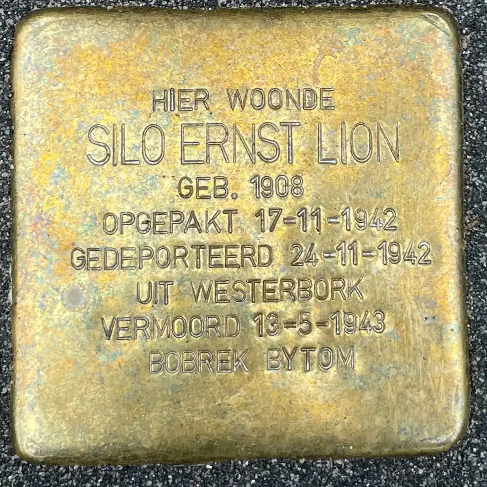Struikelsteen voor Silo Ernst Lion