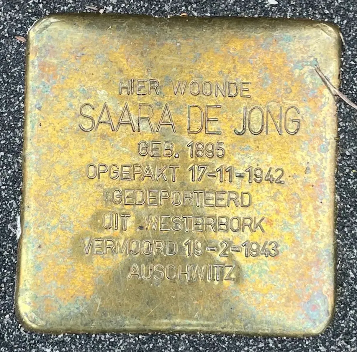 Struikelsteen voor Saara de Jong