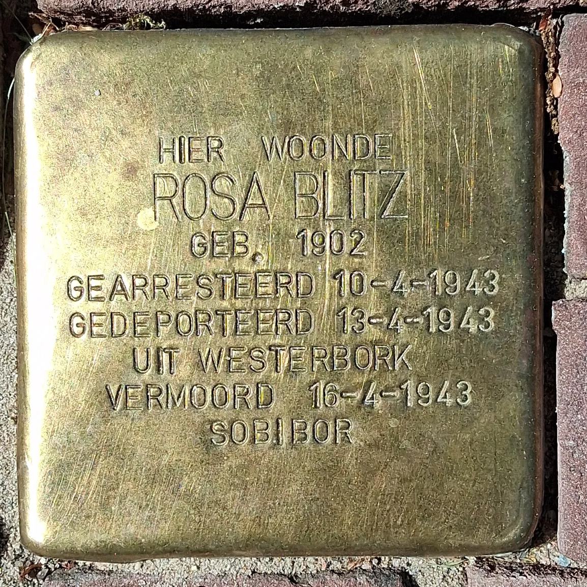 Struikelsteen voor Rosa Blitz