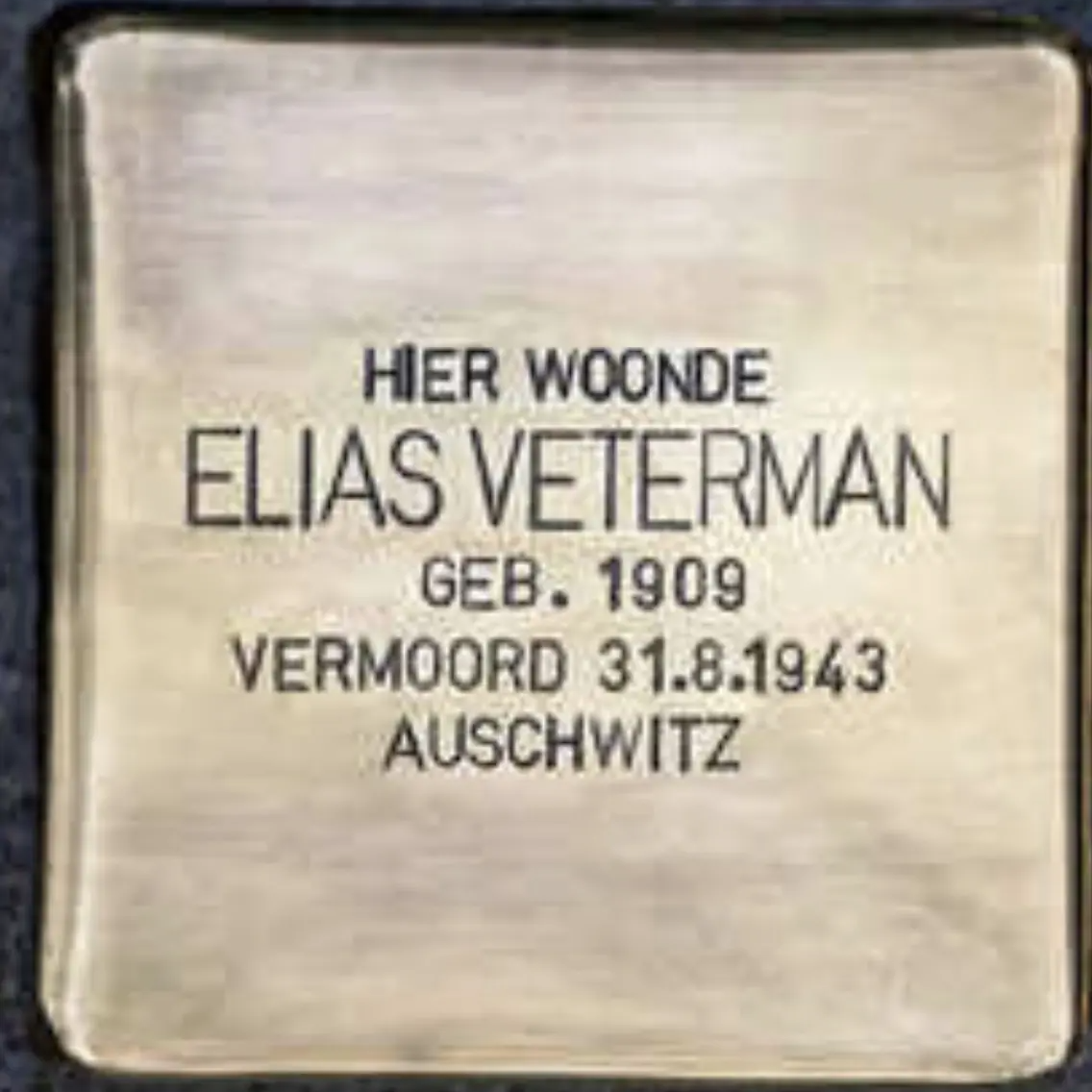 Struikelsteen voor Elias Veterman