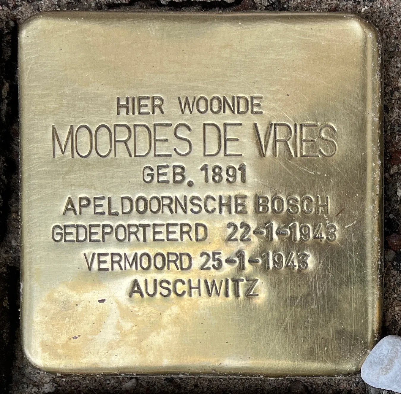 Struikelsteen voor Moordes de Vries
