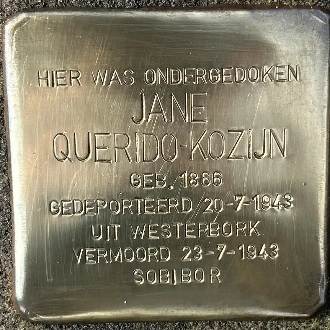 Struikelsteen voor Jane Querido-Kozijn