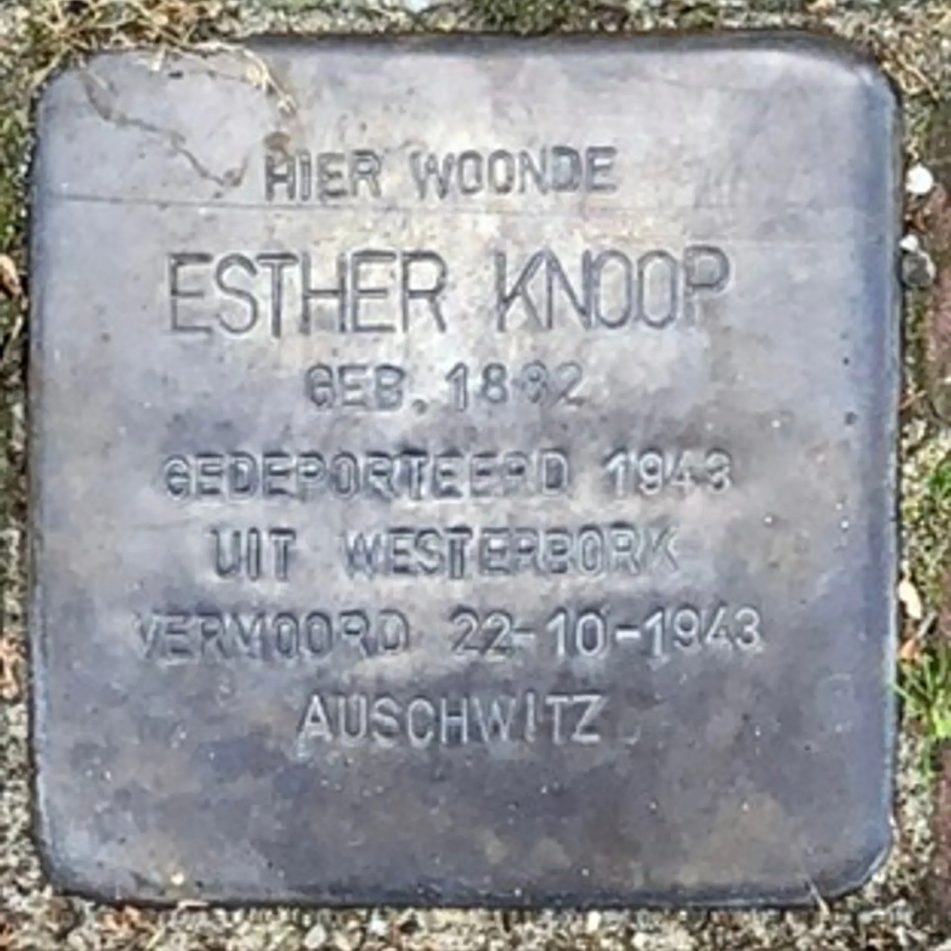 Struikelsteen voor Esther Knoop