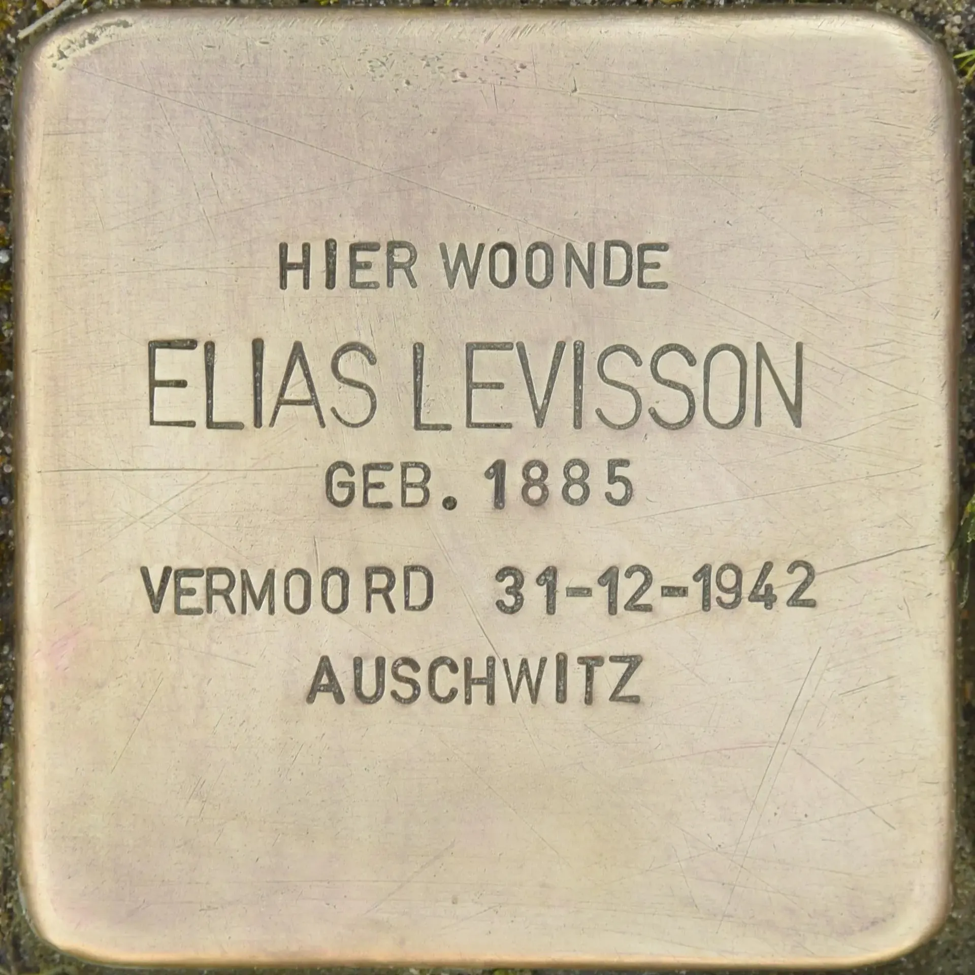 Struikelsteen voor Elias Levisson