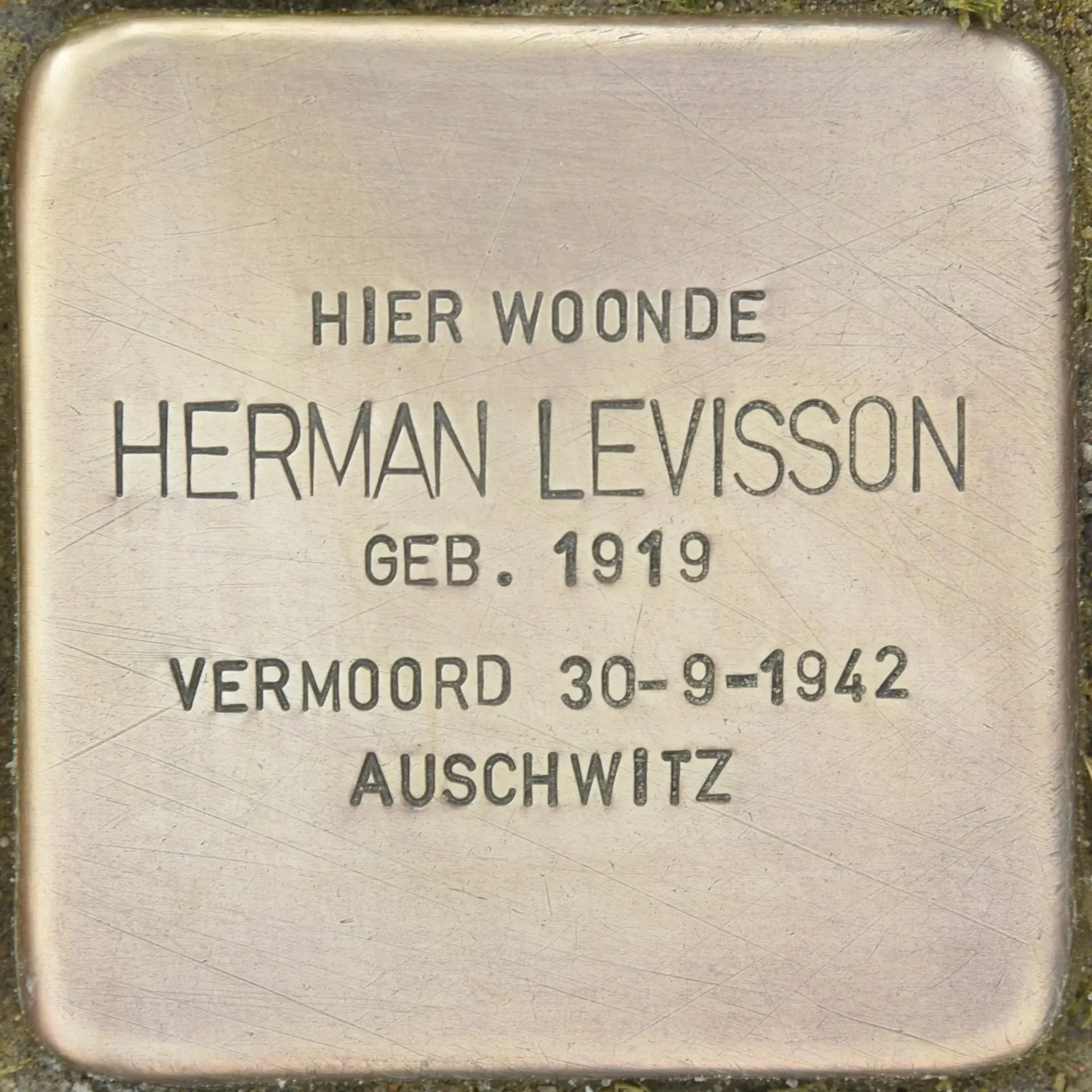 Struikelsteen voor Herman Levisson