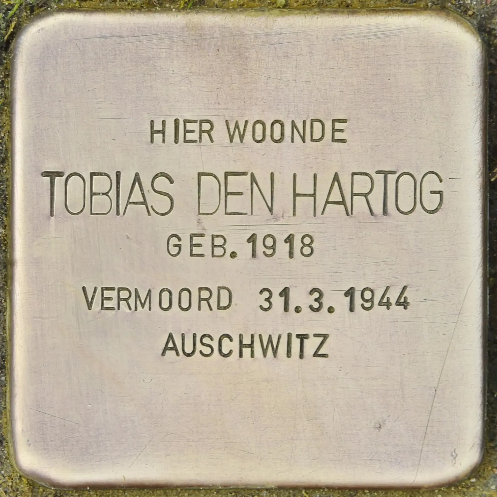 Struikelsteen voor Tobias den Hartog