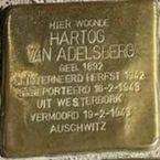Struikelsteen voor Hartog van Adelsberg