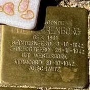 Struikelsteen voor Elie Beerenborg
