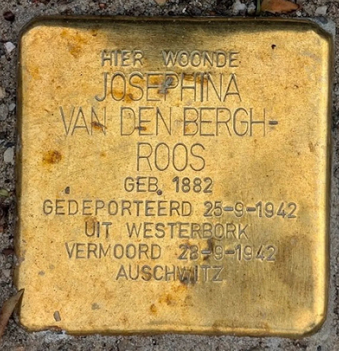 Struikelsteen voor Josephina van den Bergh-Roos