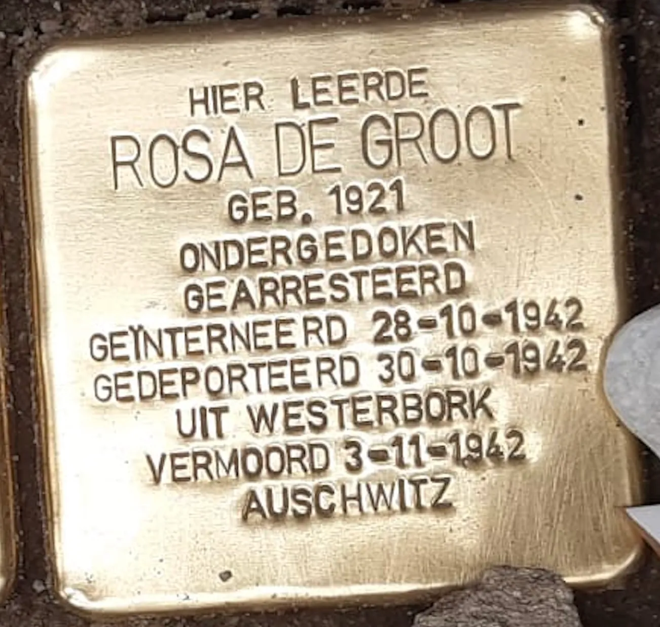 Struikelsteen voor Rosa de Groot