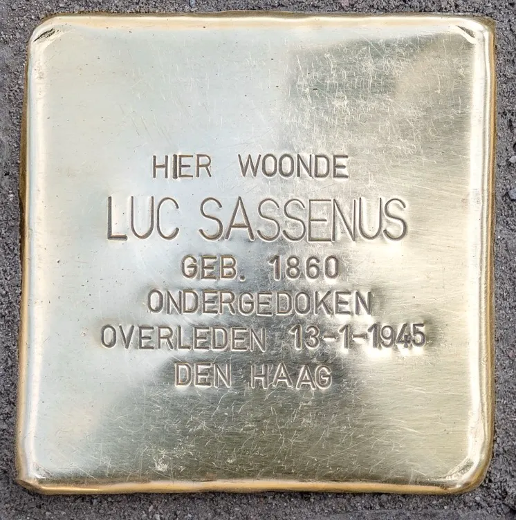Struikelsteen voor Luc Sassenus